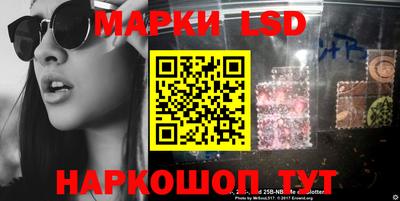 apvp Кингисепп