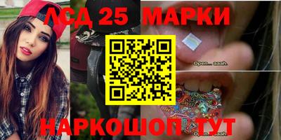 apvp Кингисепп