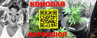 apvp Кингисепп