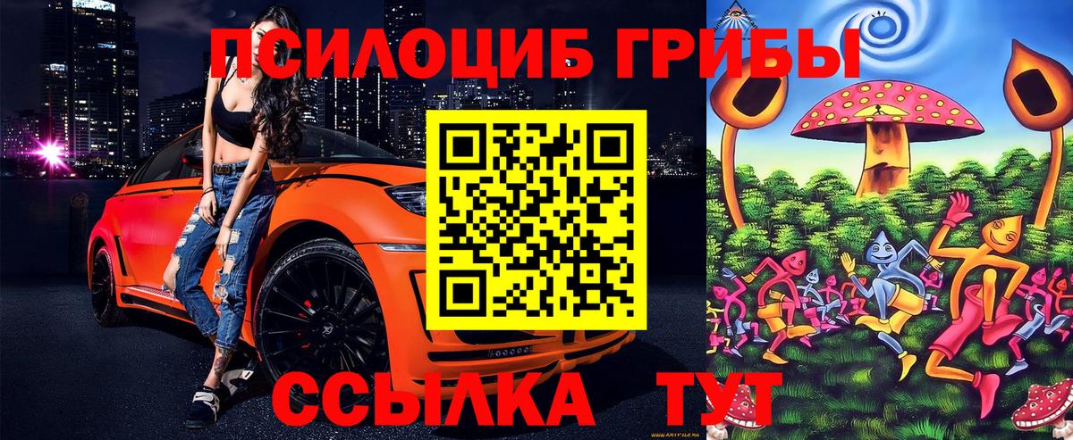 как найти закладки  Вход с VPN  Кропоткин  Псилоцибиновые грибы мицелий 